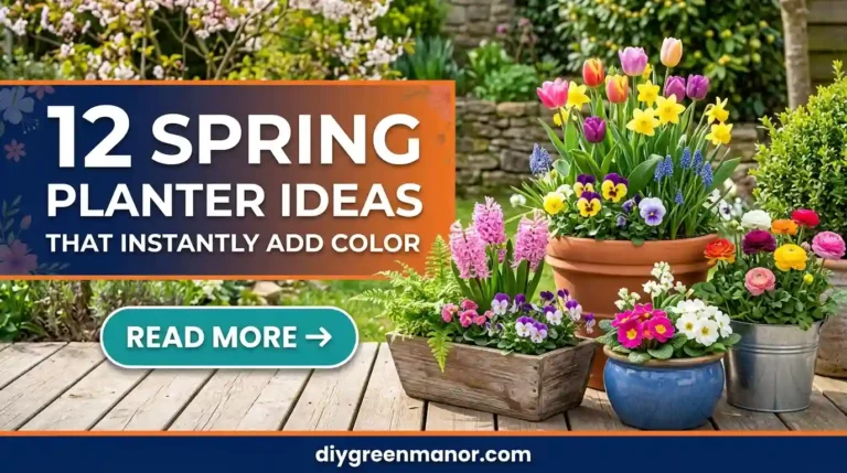 12 Spring Planter Ideas That Instantly Add Color