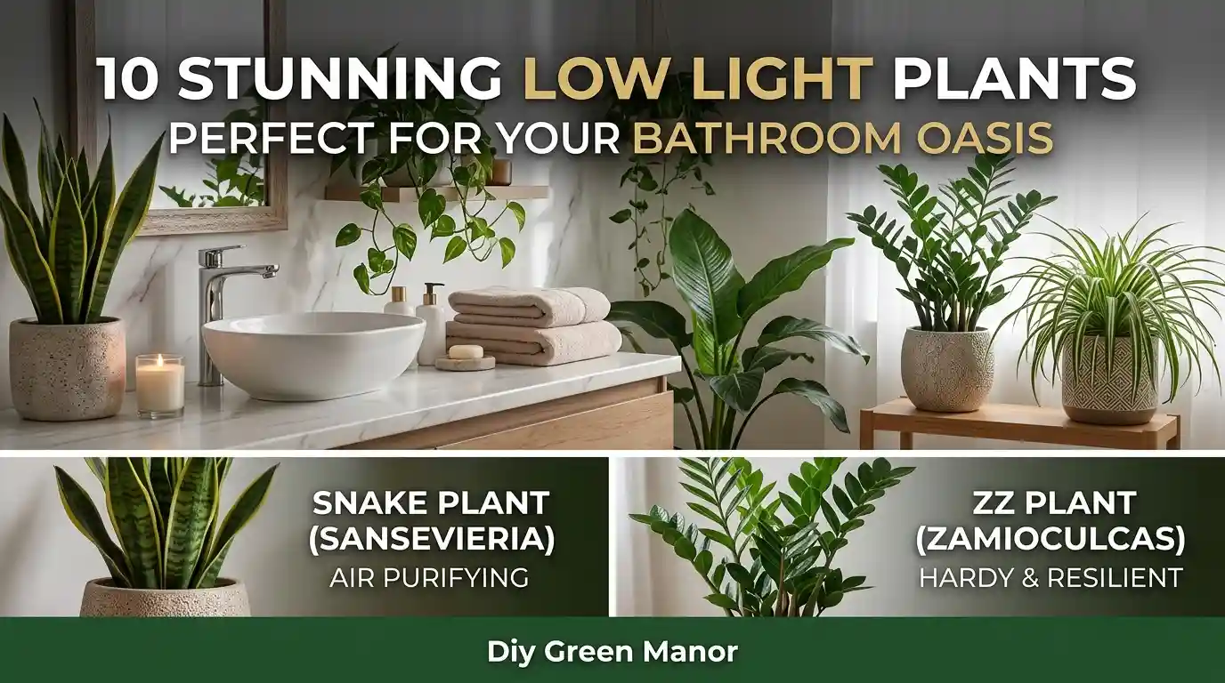 10 Stunning Low Light Plants Perfect for Your Bathroom Oasis
