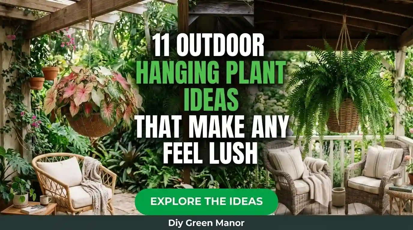 11 Outdoor Hanging Plant Ideas That Make Any Space Feel Lush