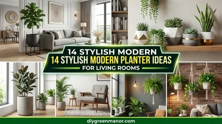 14 Stylish Modern Planter Ideas for Living Rooms